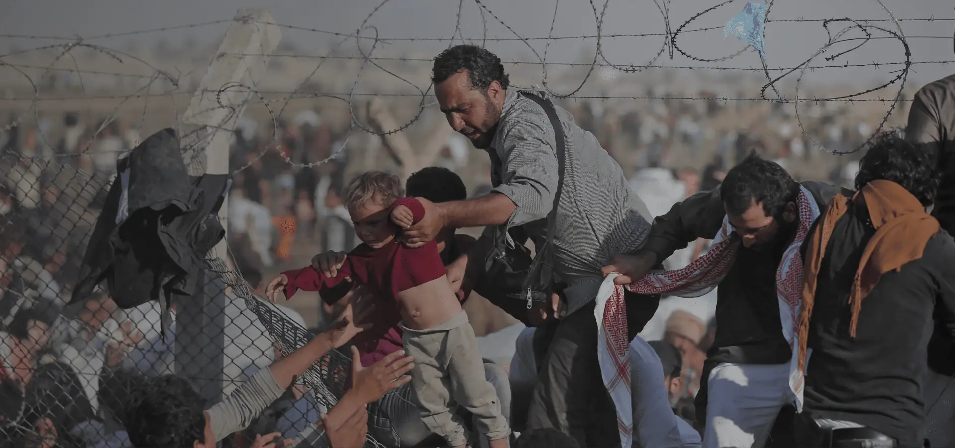 Refugee Visa in parramatta